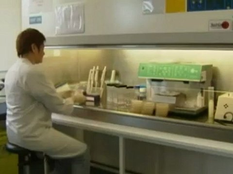 Les Bienfaits du Lait Cru pour la Santé_Lait Cru et Pasteurisation