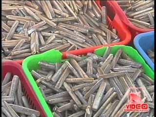 Caserta - Pesca abusiva di cannolicchi, sequestrati 700 chili (06.10.12)