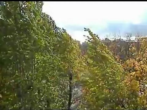 ураган в москве