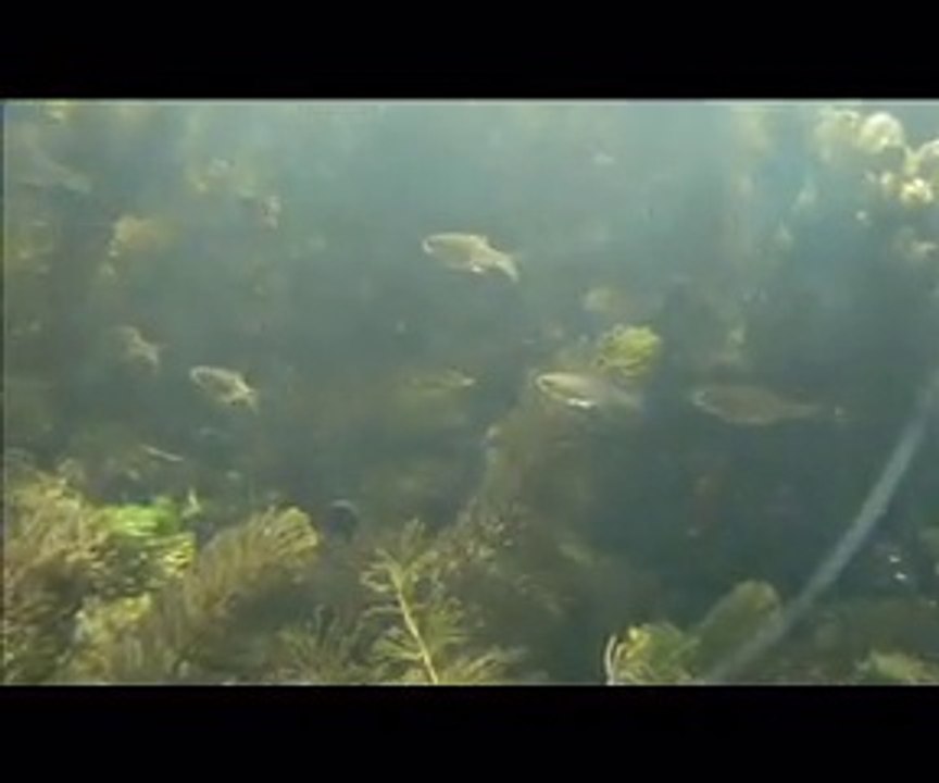 Relax Nature Music studio Artfresco&Decor Мастер классы по Декорированию венецианской штукатурки