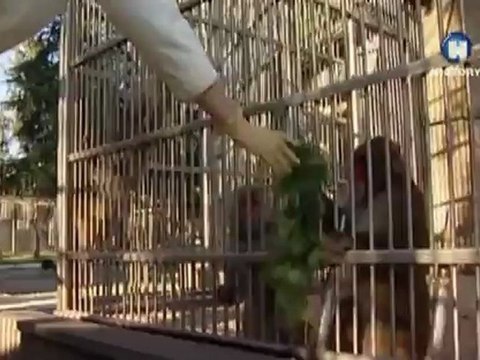 Секретные эксперименты в советских лабораториях