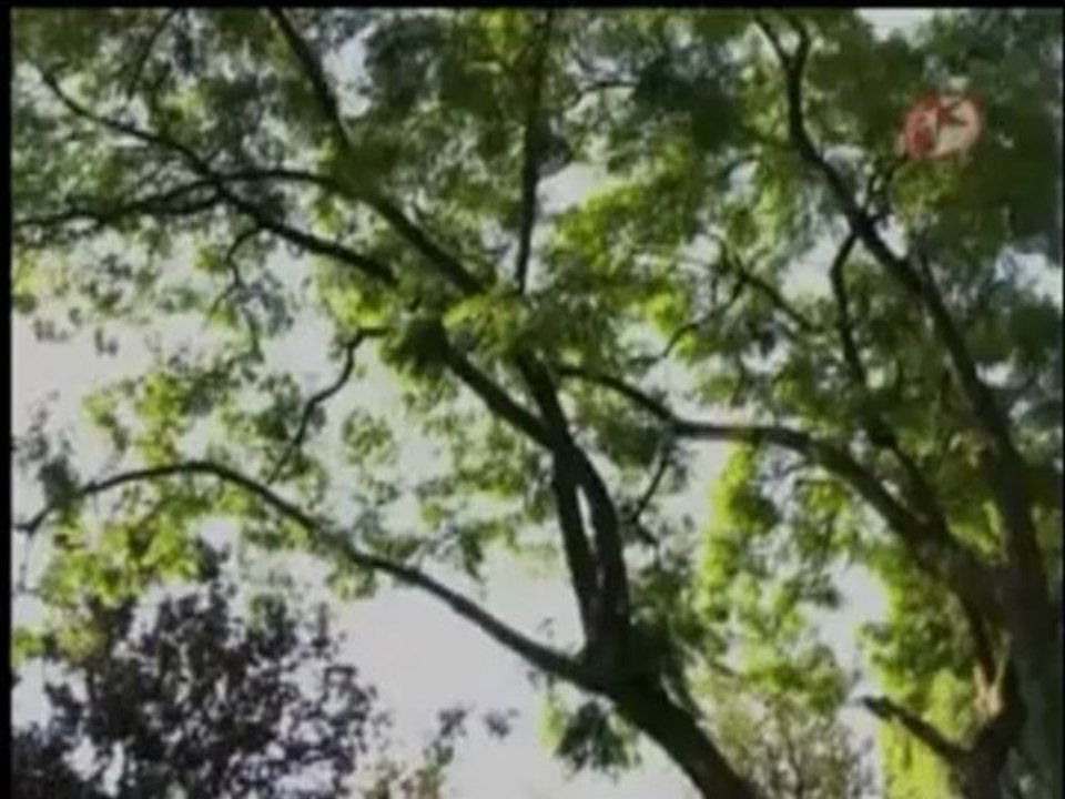 Ο Θρίαμβος της αγάπης επεισόδιο 35 μέρος 3 με ελληνικούς υπότιτλους