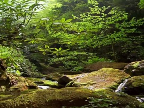 Kazım Koyuncu*Didou Nana*