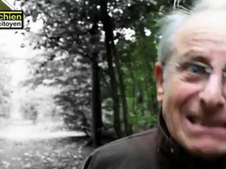 Comment éduquer son chien sans crier ?