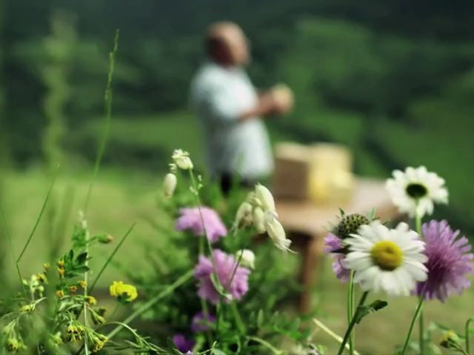 SPOT PUB CANTAL avec Vincent MOSCATO et les vaches !