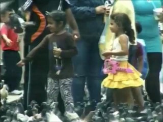 (Vídeo) Documental: Concierto para delinquir parte (2/3)