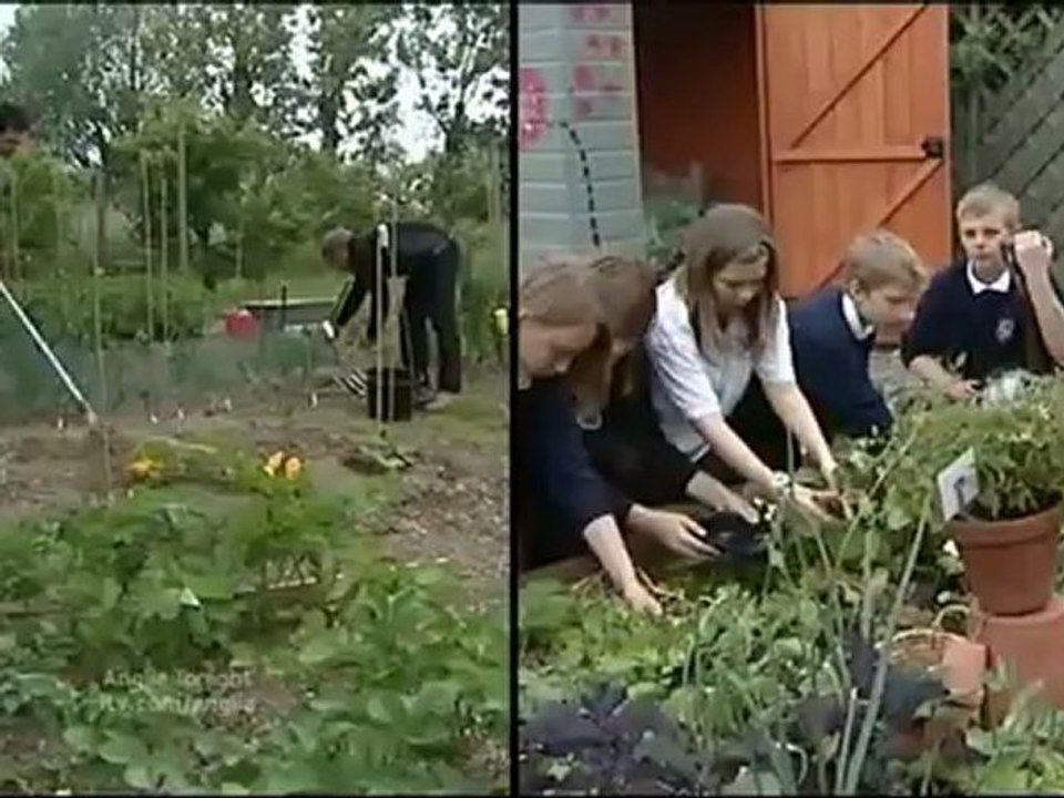 Anglia News Anglia Allotment Suffolk Ipswich Schools And Growing