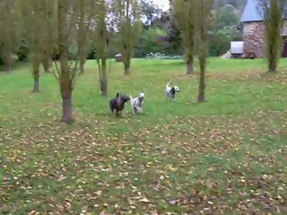 jade avec les copains