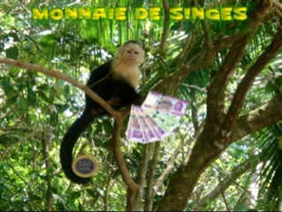 Le Cam_Monnaie_Interview
