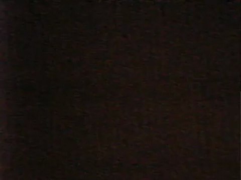 Paramount Theatre Concert 07-31-2012: Gin Blossoms - Follow You Down