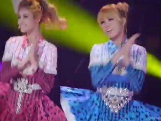 사설토토솔루션 toto Ltescore.com 라이브스코어