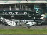 Air New Zealand All Blacks