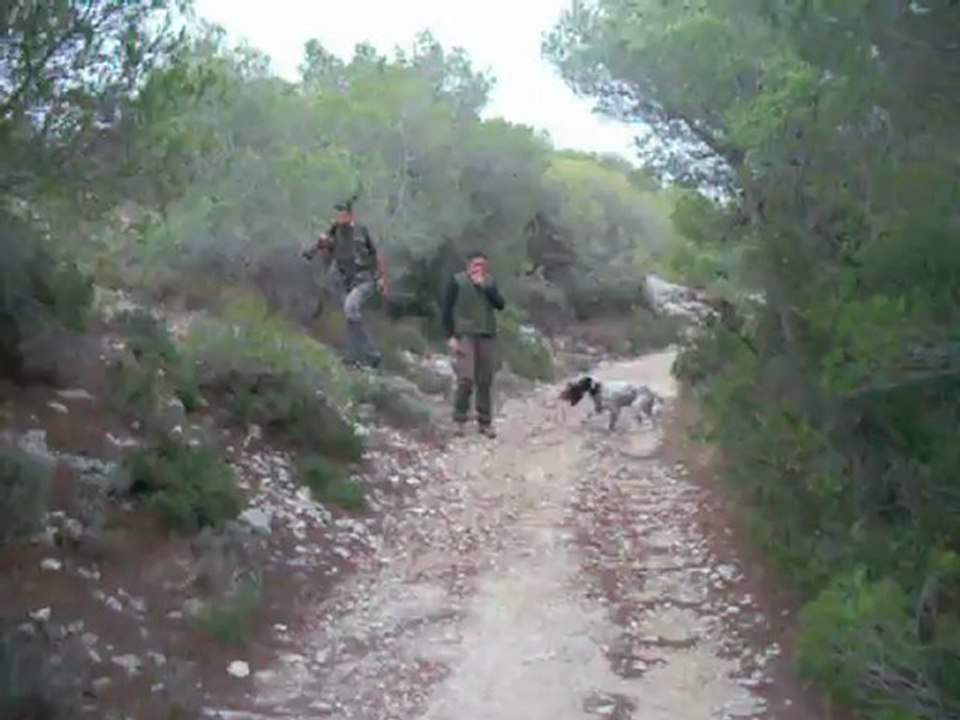 cirka et bilou aux faisans 001