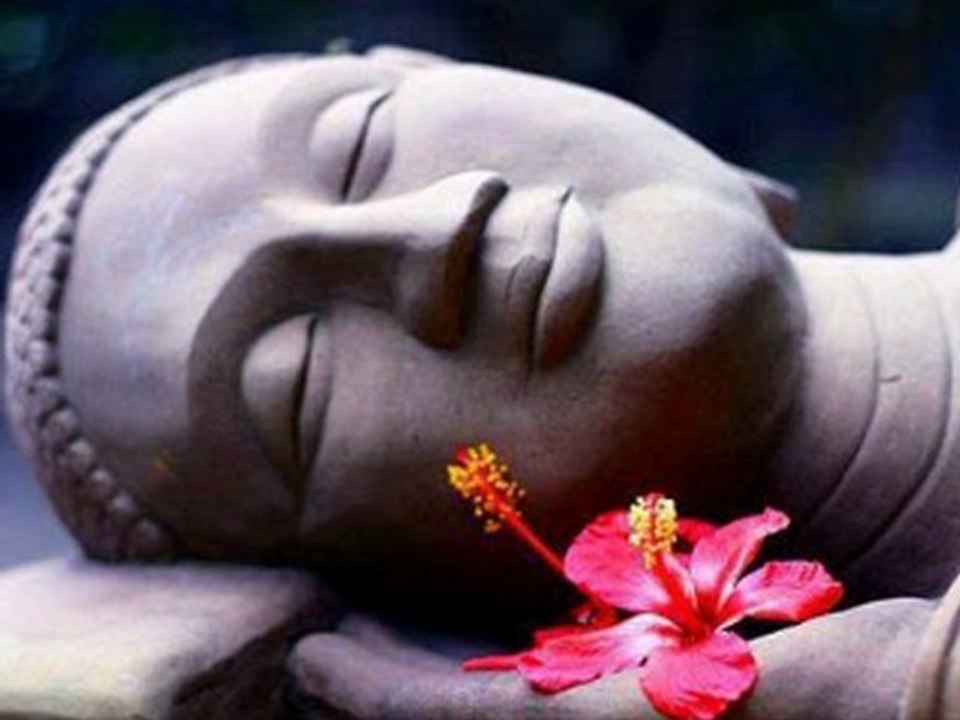 Détecteur de Polarité Yin-Yang Lagrange : ( France ) .