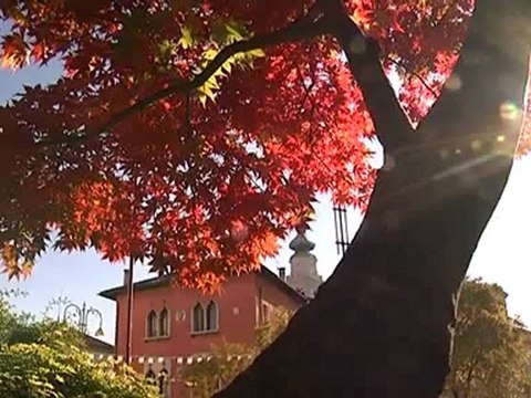 un aiuto ai padri separati