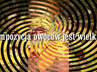 Jesień 3 Michał Tisch Zadanie od konrada Nolberskiego