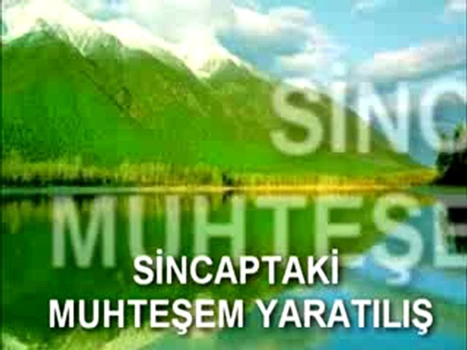 SİNCAPTAKİ MUHTEŞEM YARATILIŞ