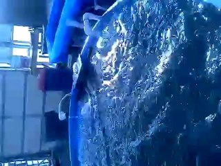 Why all the water everywhere?