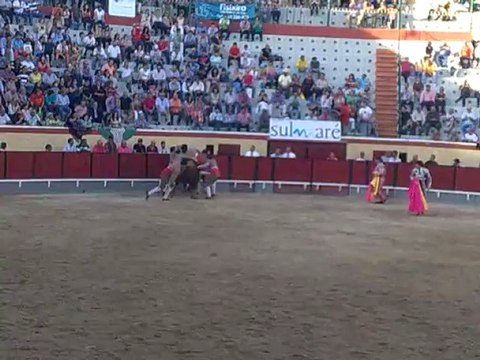 DIOGO CRUZ FORCADOS AMADORES DA CHAMUSCA PEGA TOIRO ASSUNÇÃO COIMBRA EM VILA FRANCA