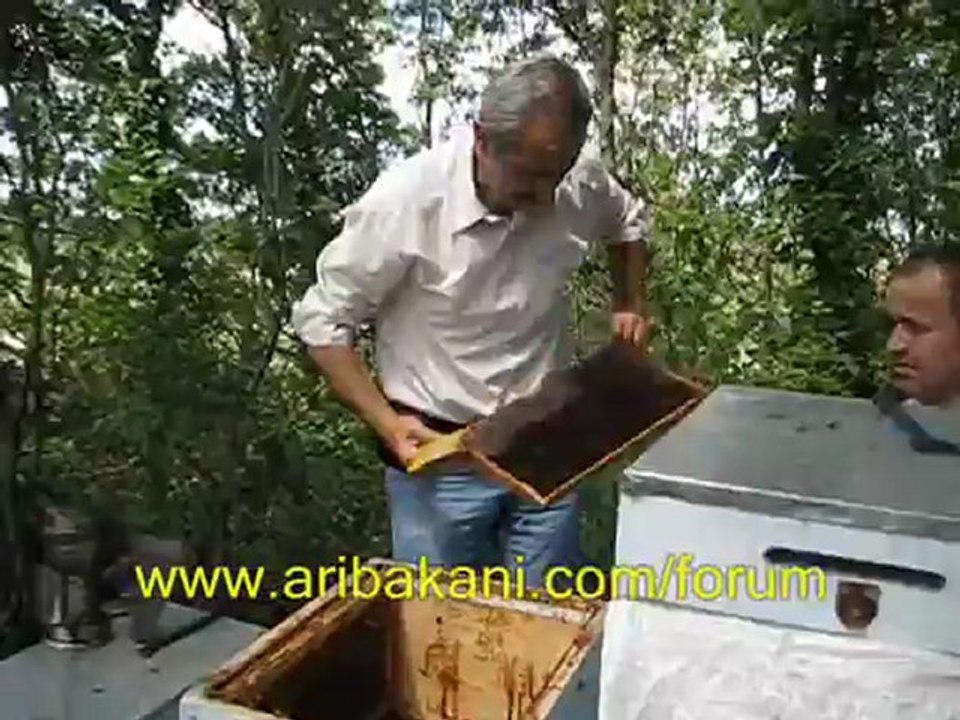 Bal hasadı, arıcılık videosu, Yusuf Şimşak arılığı