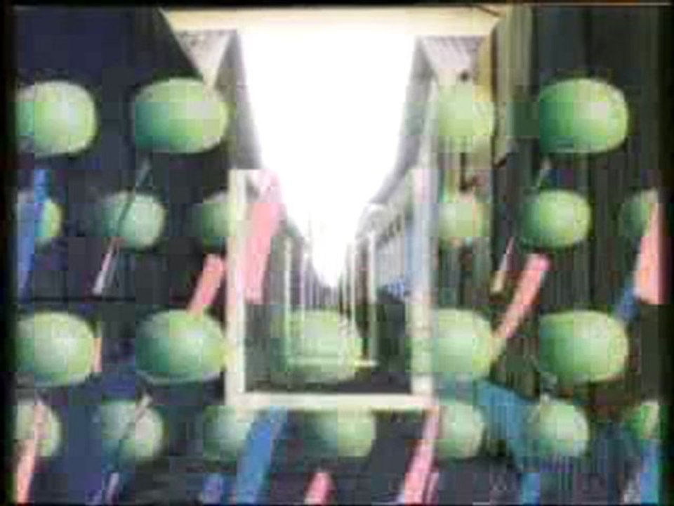 LAMU_MoViE_TH_2-4