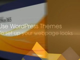 building a wordpress website