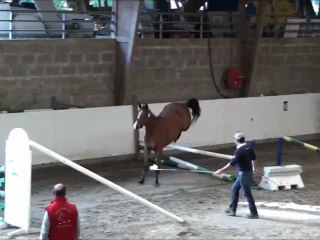 Vic de Brainville local 3ans Auvers 2012