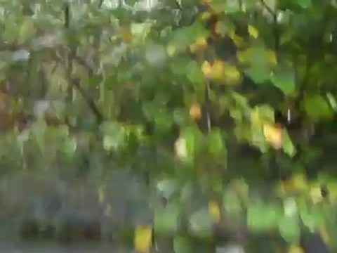 Rando Combrailles 2012 SANY0005