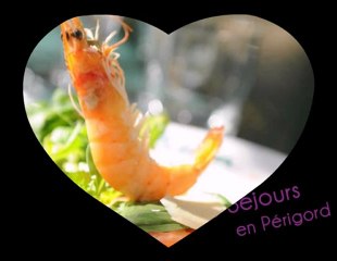 Cours de Cuisine en Pays de Bergerac