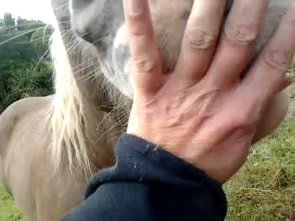 Akiro La Rosière 08102012 003