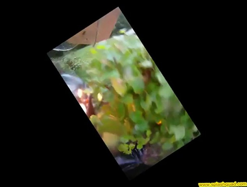 SPLASHQUAD - 20121006 - Pays Auge 2-2