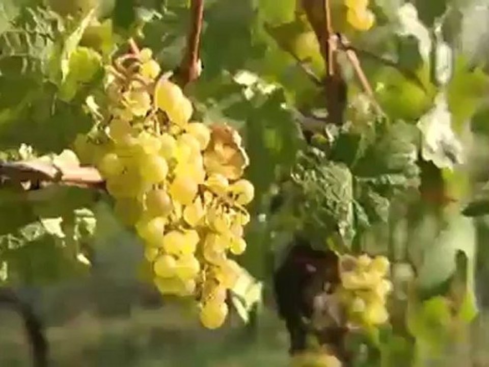 El Palatinado - tres sugerencias | Destino Alemania