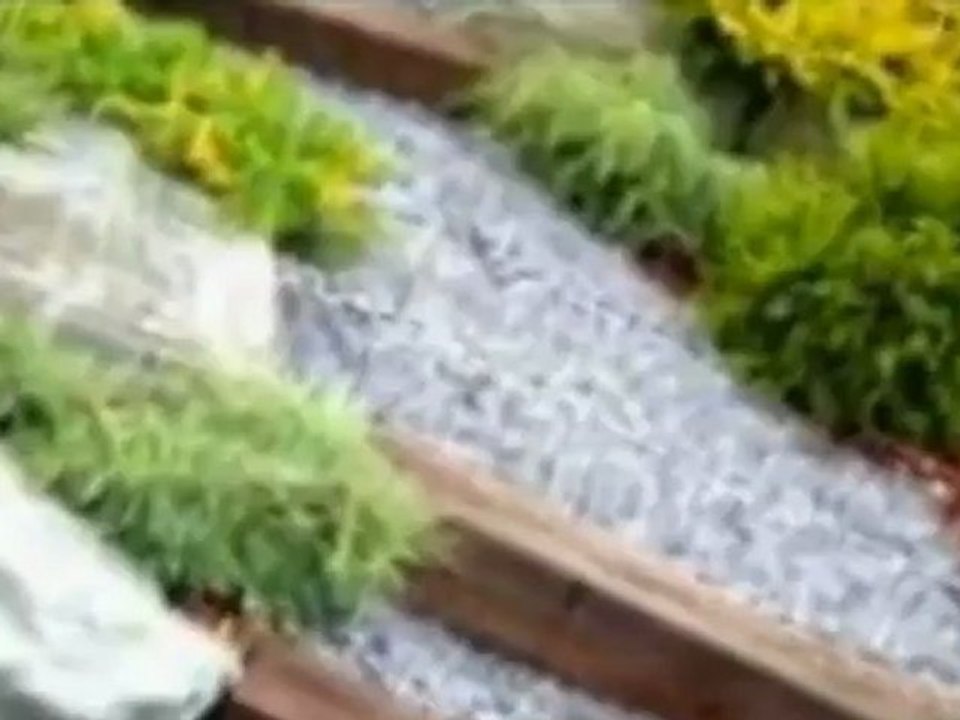 Landscaping Mistakes