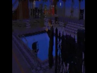 Les deux min du peuple sims2