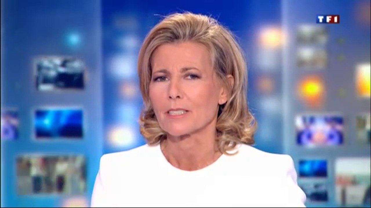 Ecole de cascade - JT de 20H sur TF1 -  Les futurs cascadeurs du cinéma ont leur école - formation de cascadeurs Action Training Productions