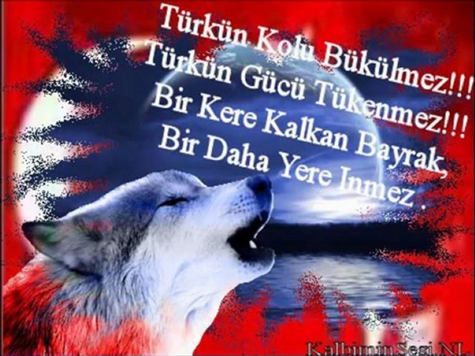 MUSTAFA YILDIZDOĞAN - BU DİYARDA