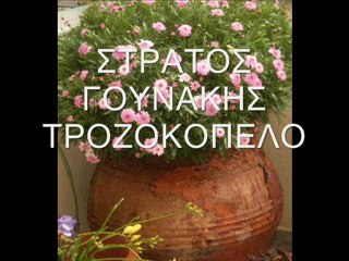 ΣΤΡΑΤΟΣ ΓΟΥΝΑΚΗΣ ΤΡΟΖΟΚΟΠΕΛΟ