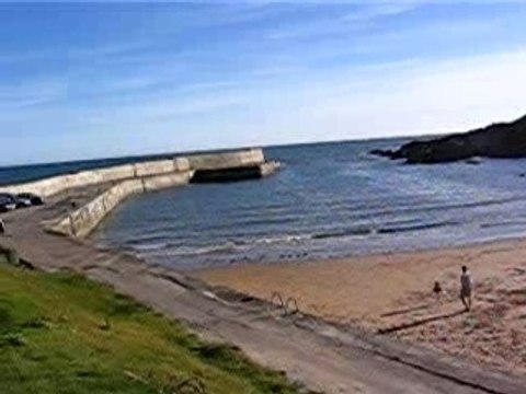 Coquillages & crustacés