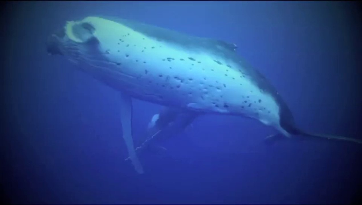 Wonderful Chill Out Music