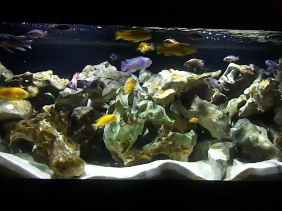 Malawi 450L