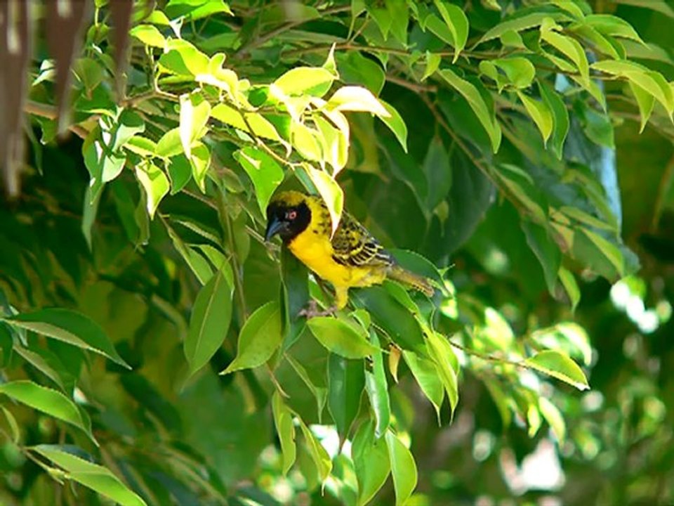 Un Monde De Couleurs " D.Staquet & C.Millois