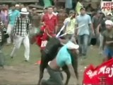 At least 19 injured in bullfight mayhem in Colombia