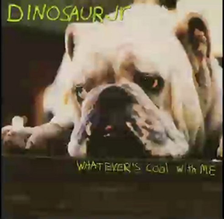 dinosaur jr