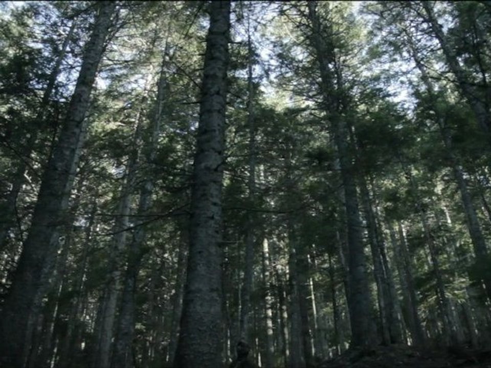 VANOSC