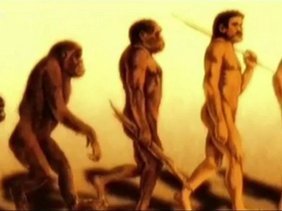 l'évolution de l'homme