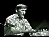 Beach Boys - Surfer Girl Live