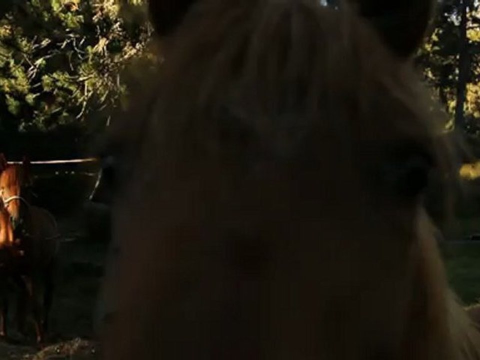 IKK - Rando Pradeilles 2O12