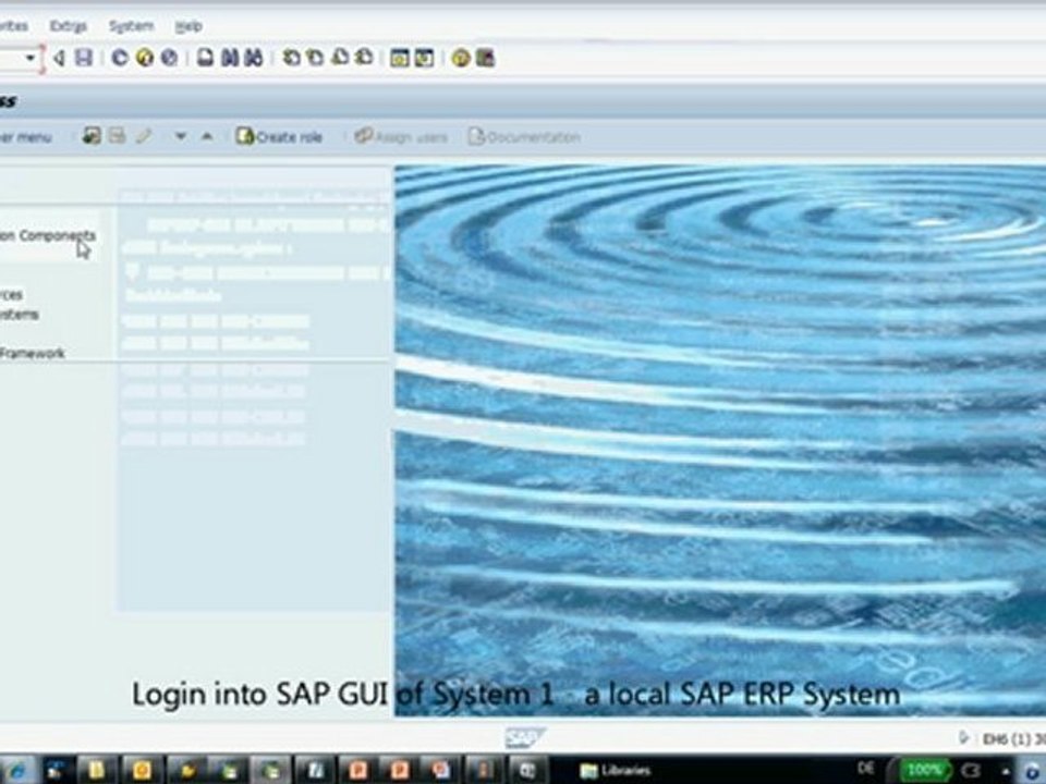 20121010 SAP RDS Process Observer Simple no voice2