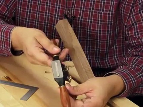 Wastringue Veritas - HMDIFFUSION