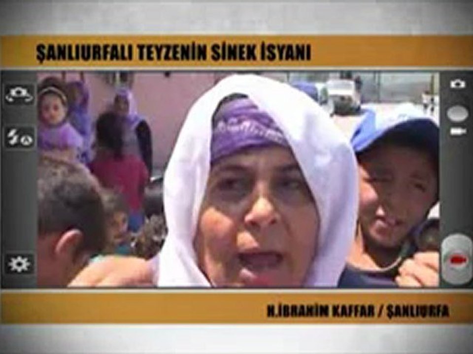 Sinek İsyanı (Haber Sizsiniz'de)